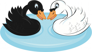 Have You Played The <em>Black Swan</em> Game?